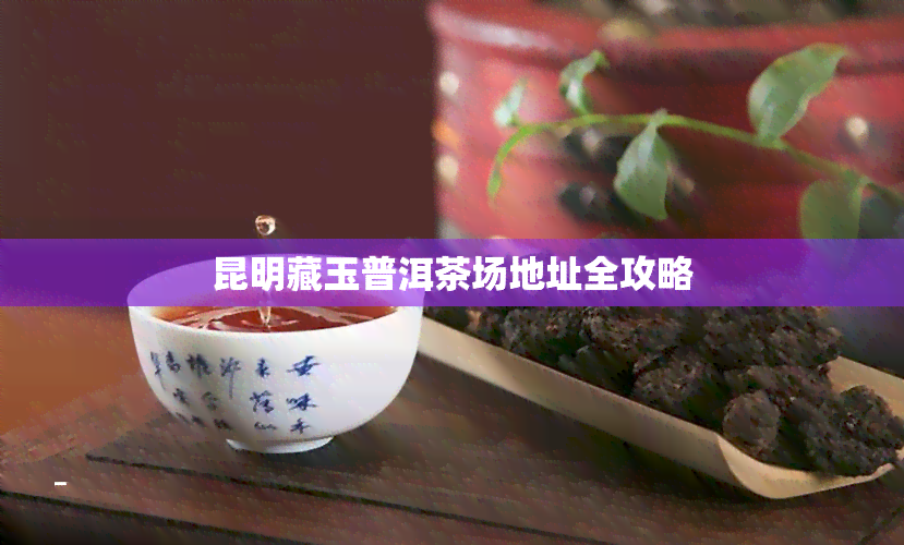 昆明藏玉普洱茶场地址全攻略