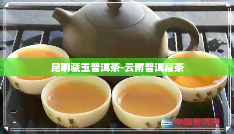 昆明藏玉普洱茶-云南普洱藏茶