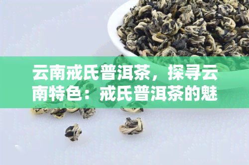 云南戒氏普洱茶，探寻云南特色：戒氏普洱茶的魅力与文化