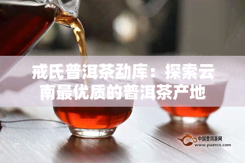 戒氏普洱茶勐库：探索云南更优质的普洱茶产地