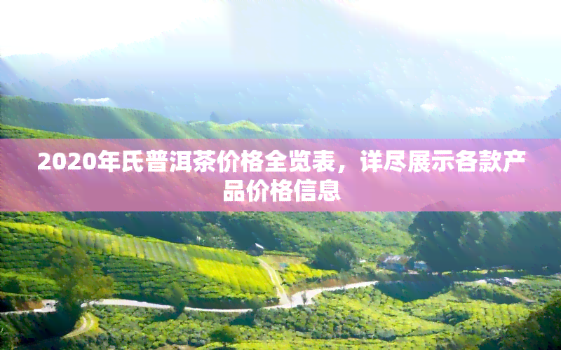 2020年氏普洱茶价格全览表，详尽展示各款产品价格信息