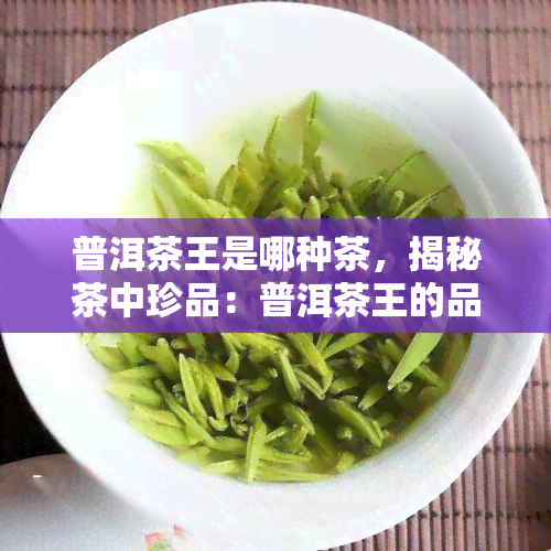 普洱茶王是哪种茶，揭秘茶中珍品：普洱茶王的品种和特点