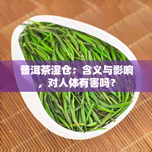 普洱茶湿仓：含义与影响，对人体有害吗？