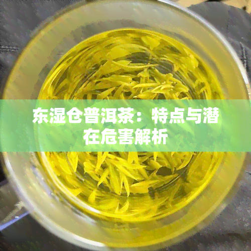 东湿仓普洱茶：特点与潜在危害解析