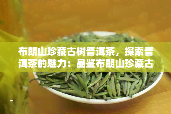 布朗山珍藏古树普洱茶，探索普洱茶的魅力：品鉴布朗山珍藏古树普洱茶