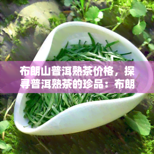 布朗山普洱熟茶价格，探寻普洱熟茶的珍品：布朗山普洱熟茶的价格解析