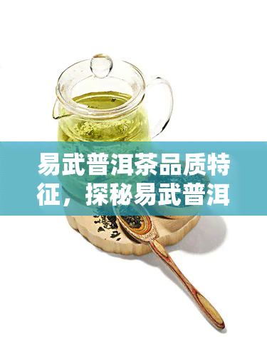 易武普洱茶品质特征，探秘易武普洱茶的高品质特征