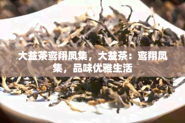 大益茶鸾翔凤集，大益茶：鸾翔凤集，品味优雅生活