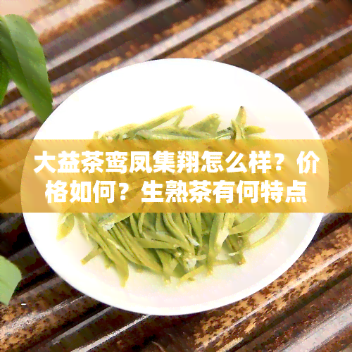 大益茶鸾凤集翔怎么样？价格如何？生熟茶有何特点？