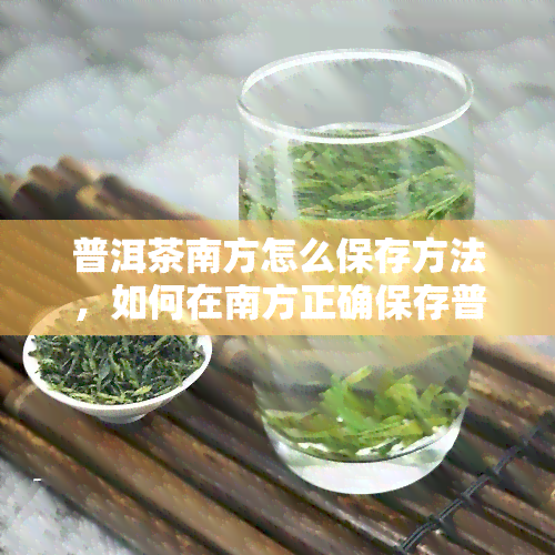 普洱茶南方怎么保存方法，如何在南方正确保存普洱茶？关键步骤大揭秘！