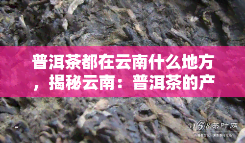 普洱茶都在云南什么地方，揭秘云南：普洱茶的产地究竟在哪里？