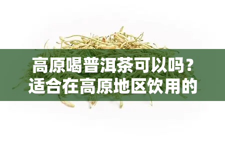 高原喝普洱茶可以吗？适合在高原地区饮用的茶叶推荐