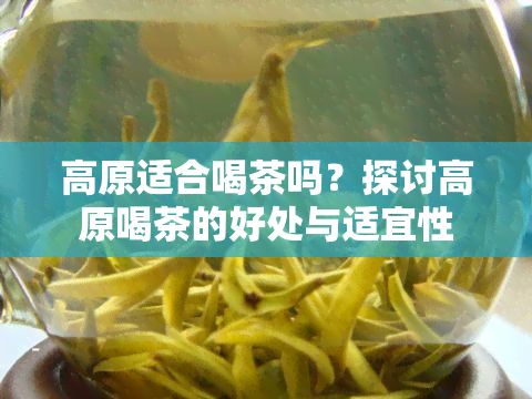 高原适合喝茶吗？探讨高原喝茶的好处与适宜性