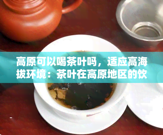 高原可以喝茶叶吗，适应高海拔环境：茶叶在高原地区的饮用指南