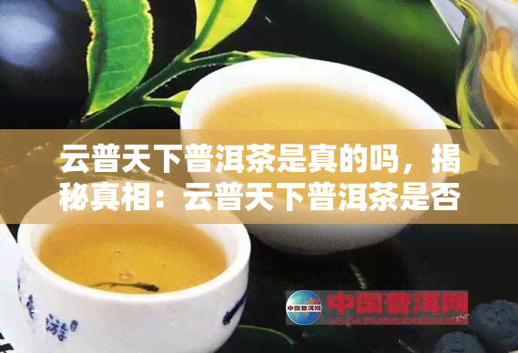 云普天下普洱茶是真的吗，揭秘真相：云普天下普洱茶是否真实可靠？