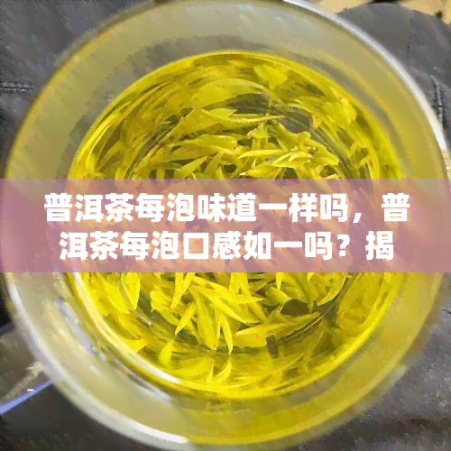 普洱茶每泡味道一样吗，普洱茶每泡口感如一吗？揭开真相！