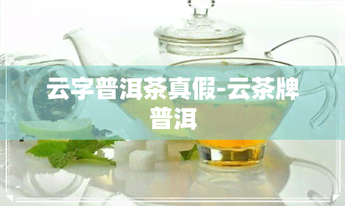 云字普洱茶真假-云茶牌普洱