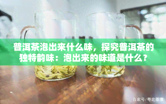 普洱茶泡出来什么味，探究普洱茶的独特韵味：泡出来的味道是什么？