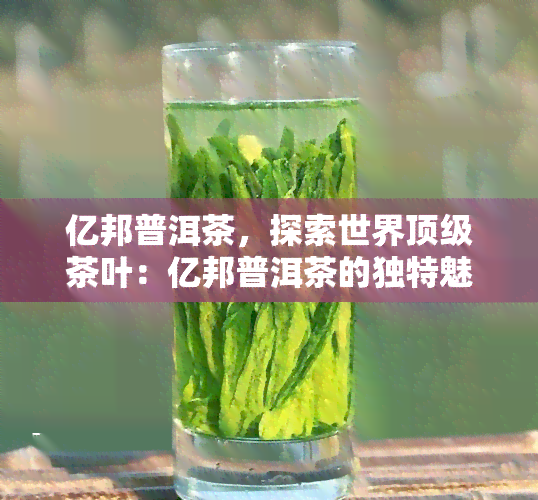 亿邦普洱茶，探索世界顶级茶叶：亿邦普洱茶的独特魅力与品味