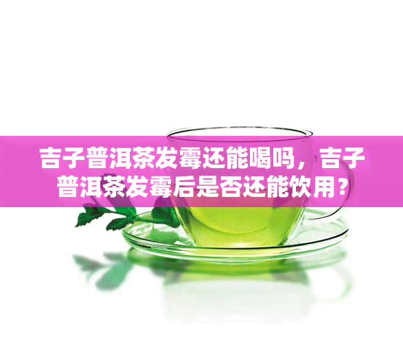 吉子普洱茶发霉还能喝吗，吉子普洱茶发霉后是否还能饮用？