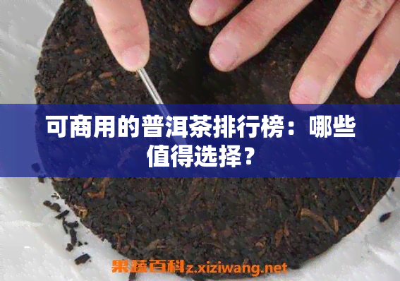 可商用的普洱茶排行榜：哪些值得选择？