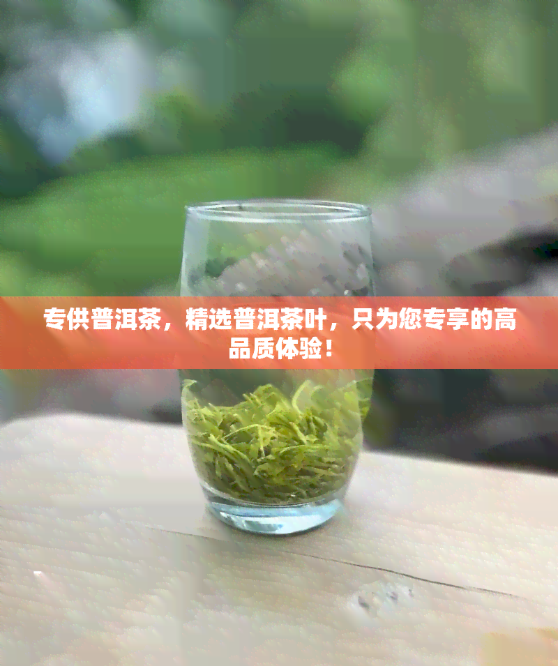 专供普洱茶，精选普洱茶叶，只为您专享的高品质体验！