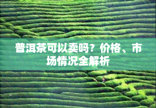 普洱茶可以卖吗？价格、市场情况全解析