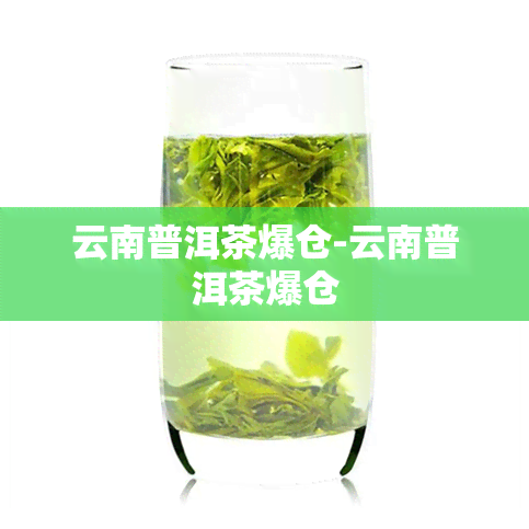 云南普洱茶爆仓-云南普洱茶爆仓