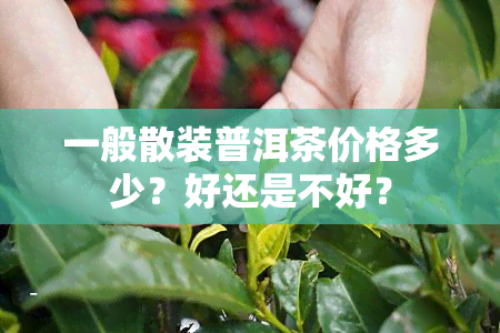 一般散装普洱茶价格多少？好还是不好？