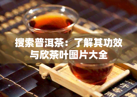 搜索普洱茶：了解其功效与欣茶叶图片大全