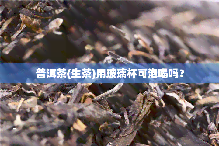 普洱茶(生茶)用玻璃杯可泡喝吗？