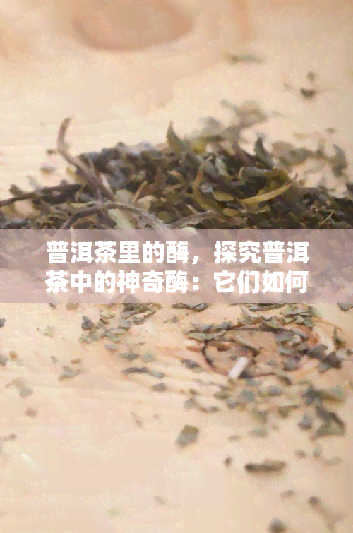 普洱茶里的酶，探究普洱茶中的神奇酶：它们如何影响茶叶的口感和健效益？