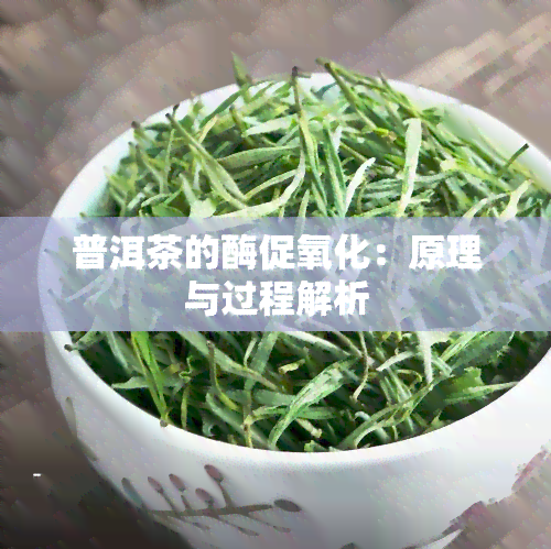 普洱茶的酶促氧化：原理与过程解析