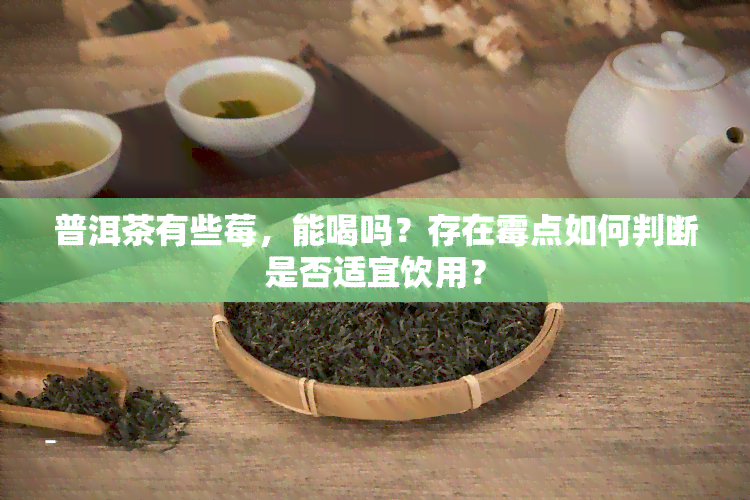 普洱茶有些莓，能喝吗？存在霉点如何判断是否适宜饮用？