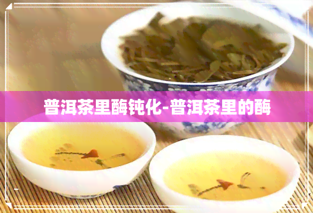 普洱茶里酶钝化-普洱茶里的酶