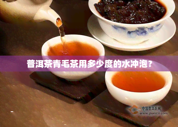 普洱茶青毛茶用多少度的水冲泡？