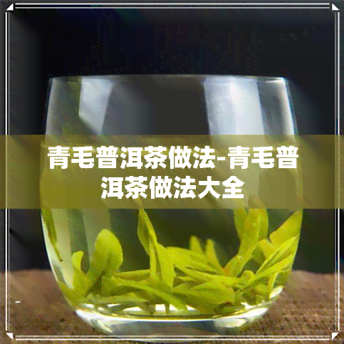 青毛普洱茶做法-青毛普洱茶做法大全