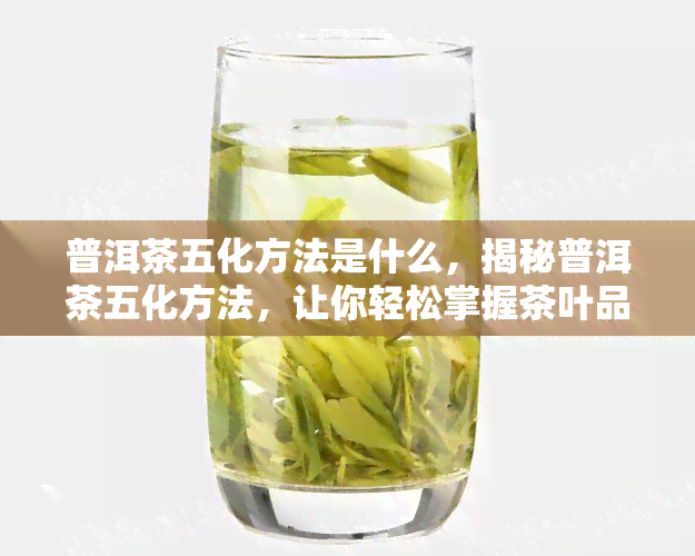 普洱茶五化方法是什么，揭秘普洱茶五化方法，让你轻松掌握茶叶品鉴技巧！