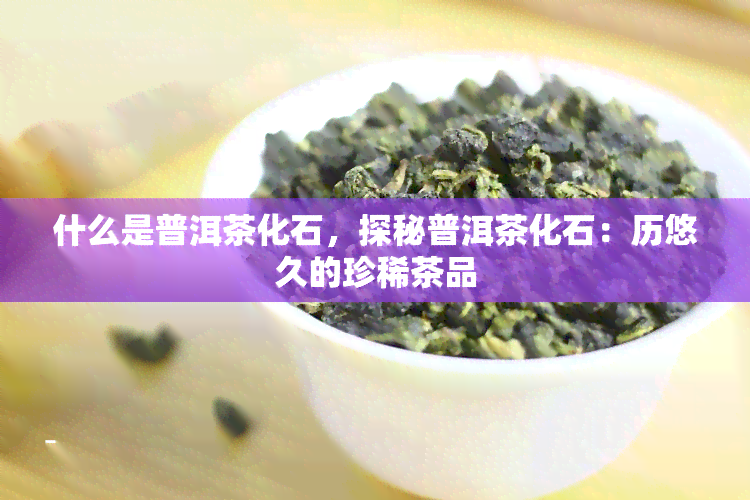 什么是普洱茶化石，探秘普洱茶化石：历悠久的珍稀茶品