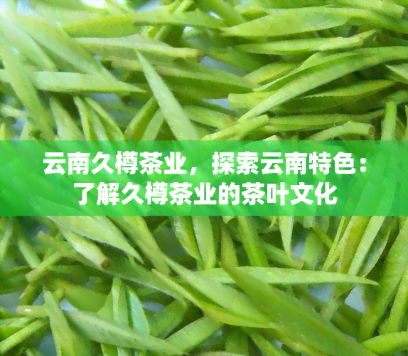 云南久樽茶业，探索云南特色：了解久樽茶业的茶叶文化