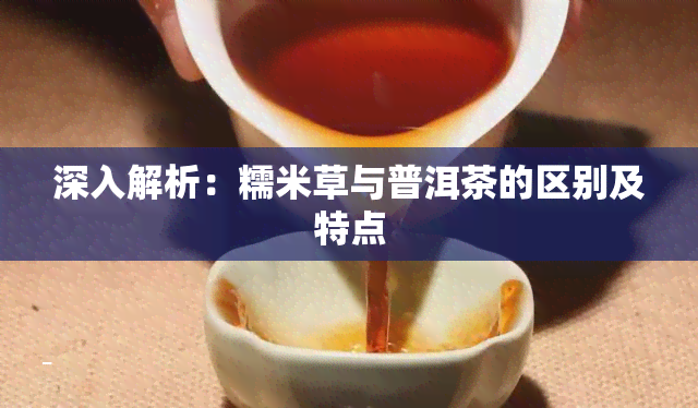 深入解析：糯米草与普洱茶的区别及特点