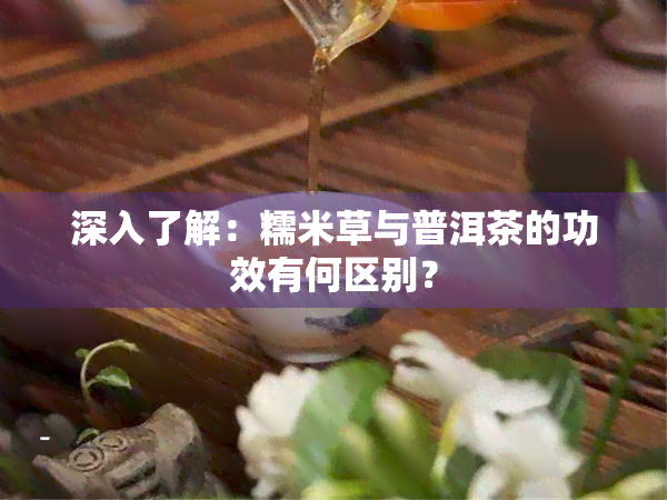 深入了解：糯米草与普洱茶的功效有何区别？