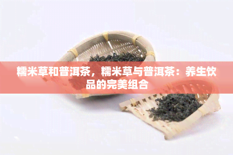 糯米草和普洱茶，糯米草与普洱茶：养生饮品的完美组合