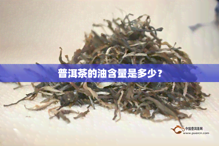 普洱茶的油含量是多少？