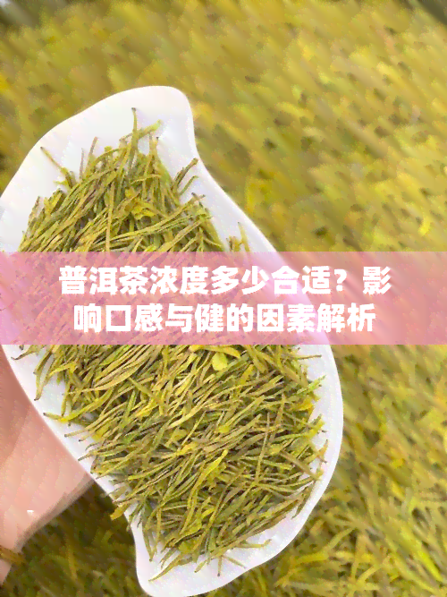 普洱茶浓度多少合适？影响口感与健的因素解析