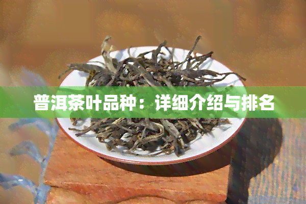 普洱茶叶品种：详细介绍与排名