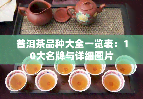 普洱茶品种大全一览表：10大名牌与详细图片