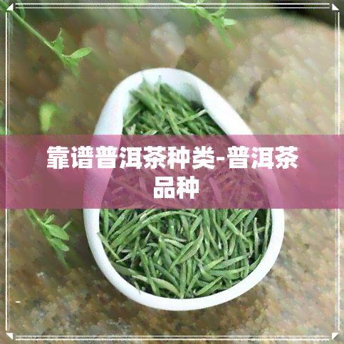 靠谱普洱茶种类-普洱茶 品种