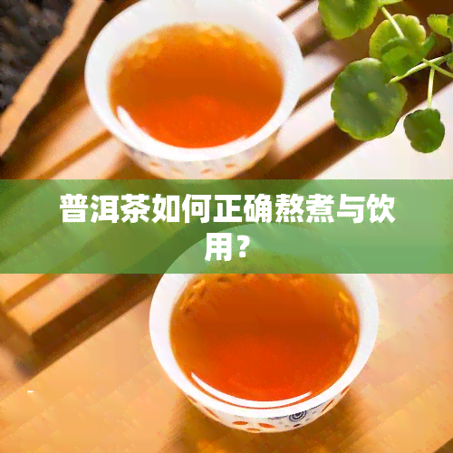 普洱茶如何正确熬煮与饮用？