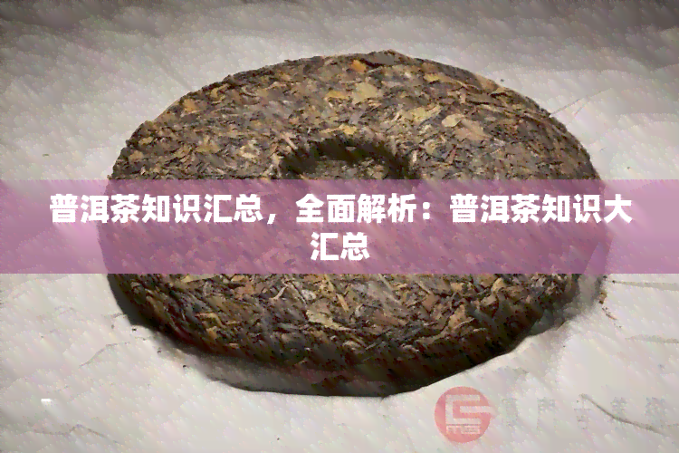 普洱茶知识汇总，全面解析：普洱茶知识大汇总